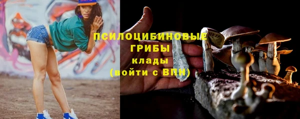 бошки Осинники