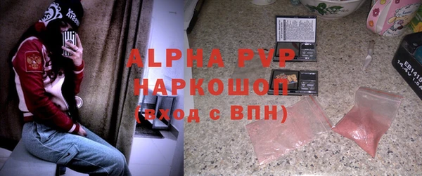 прущие грибы Осташков